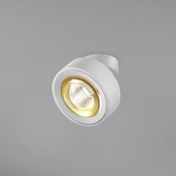 Egger Licht EGG DLS LED spot Clippo Optic, white/gold, Ø 12 cm, DTW