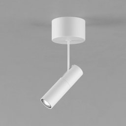 Egger Licht EGG DLS Zooom XL T downlight, 2700K white aluminium, dimmable