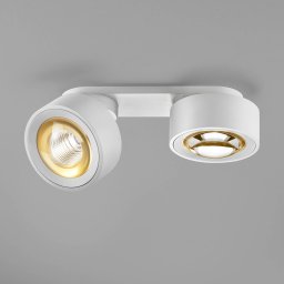 Egger Licht EGG DLS LED spot Clippo Optic Duo, white/gold, 2-bulb, DTW