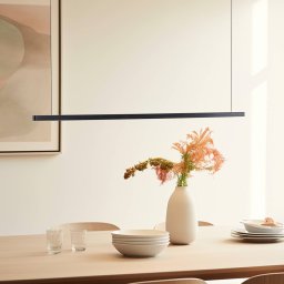 Quitani Talon LED hanging light black anodised 24W