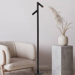 Lucide Antrim LED floor lamp, black, 2-bulb, IP54, dimmable