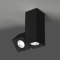 Milan Iluminación Milan Dau Spot ceiling light two-bulb black