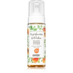 Anwen Peach & Coriander Cleansing Foam for dry and sensitive scalp 170 ml