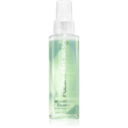 FLESHLIGHT Fleshwash Cleaning Spray 100 ml