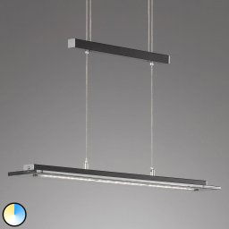 FISCHER & HONSEL LED hanging light Tenso TW dimmer, black 88cm