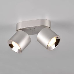 Trio Lighting Guayana downlight GU10 2-bulb nickel