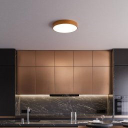 TEMAR LIGHTING Cleo ceiling light, Ø 50 cm, IP54, copper-coloured, metal, E27