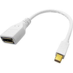ROLINE 12033163 - DisplayPort adapter, DP socket to Mini DP plug
