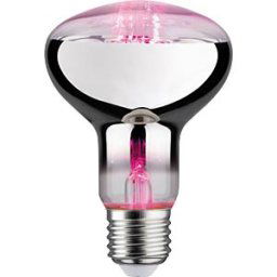 PAULMANN PLM 28733 - LED filament spotlight Grow Green E27, 6.5 W, 200 lm, 1300 K