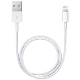 APPLE ME291ZM/A - Lightning to USB cable, 0.5 m