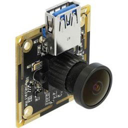 DELOCK 96398 - USB 3.2 Gen 1 Kameramodul 4,91 MP 120°, Fixfokus