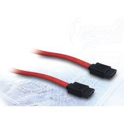 INTER-TECH IT88885310 - SATA > SATA, 6 Gbit/s, 0.5 m
