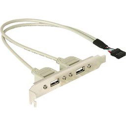 DELOCK AK 666 - Slot cover — USB 2.0 2x port