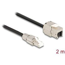 DELOCK 87209 - Keystone cable RJ45 male > female, Cat.6a, 2 m