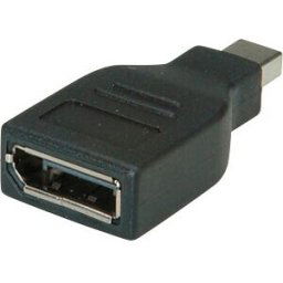 ROLINE 12033130 - DisplayPort adapter, DP socket to Mini DP plug