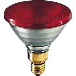 PHILIPS PHI 12891115 - Infraphil E27 heating lamp, 100 W, red, PAR38