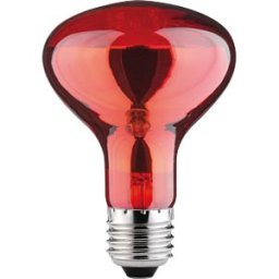 PAULMANN PLM 82977 - Infra-red spotlight E27, 60 W, 26 lm, 1500 K