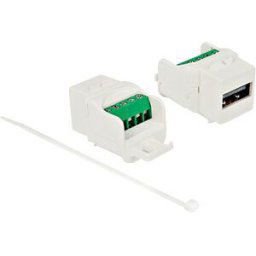 DELOCK 86376 - Keystone module USB 2.0 A female to terminal block white