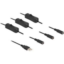 DELOCK 86798 - USB A male to 3x 2.1mm DC female, switch, 1.0 m