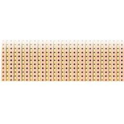 RADEMACHER H5SR160 - Strip matrix PCB, laminated paper, 160x100 mm
