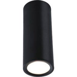 PAULMANN PLM 93107 - Barrel ceiling light fixture, 6 W, 470 lm, 2700 K, dimmable