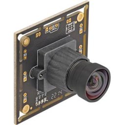 DELOCK 12069 - Kameramodul USB2.0, HDR 2,1 MP, 84°, V6, Fixfokus