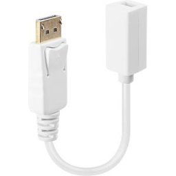 LINDY 41060 - DisplayPort adapter, DP connector to Mini DP port