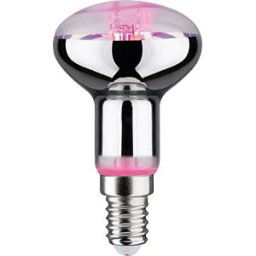 PAULMANN PLM 28734 - LED filament spotlight Grow Green E14, 4 W, 100 lm, 1300 K