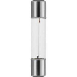 SCHIEFER LIGHTING SCHI 701327200 - Fuse lamp SF6 T6x31, 8 V, 300 mA, 2.4 W, 1K hrs, clear
