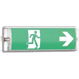 ENOVALITE ELED 200100 - LED emergency exit light fixture, TEST function, IP65