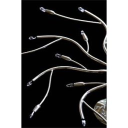 LEDVANCE GMBH HALOSTAR 50W - Halogen lamp GY6,35 HALOSTAR, 50 W, 910 lm, 3000 K, dimmable