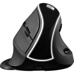 SANDBERG 630-13 - Mouse, wireless, ergonomic, black