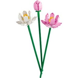 LEGO 40647 - LEGO® Lotus Flowers