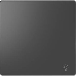 MERTEN ME MEG3302-6034 - Rocker with light symbol, anthracite, System Design