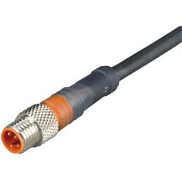 BELDEN RSMWV 4-2 - Sensor connection cable, M8 angled plug, 4-pin, 2 m