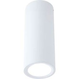 PAULMANN PLM 93105 - Barrel ceiling light fixture, 6 W, 470 lm, 2700 K, dimmable