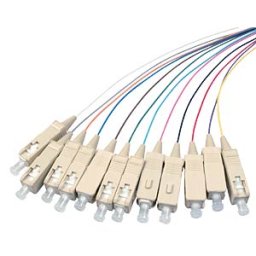 EFB-ELEKTRONIK O3325.2 - Fibre pigtail 12 set SC 50/ 125µ, OM3, 2m