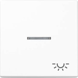 JUNG JG A590 KO5 L WW - Rocker, optical fibre, light symbol, thermosetting plastic, seri