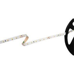 BARTHELME BARTH 51541328 - LED strip, BASIC 80, 500 cm, 24 V DC, 2700 K