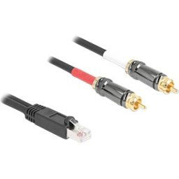 DELOCK 88171 - Cinch Audio Extender & Adapter, Cat. 5, 2 m