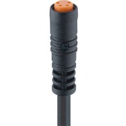LUTRONIC LUT 0800F1 04 2 - sensor Cable, M8, 4 pin, female > open wire, 2 m
