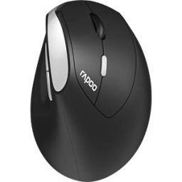 RAPOO EV250 SW - Mouse, wireless, vertical, black