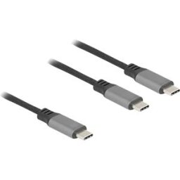 DELOCK 81271 - Charging cable, 2in1, C to 2x C, 100 W, current sharing, 1.2 m