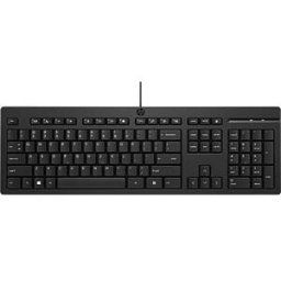 HEWLETT PACKARD HP 266C9AA - Keyboard, USB, black