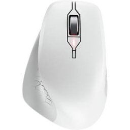 CHERRY JW-8550-0 - Mouse, wireless, ergonomic, white