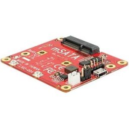 DELOCK RPI USB 2 MSATA - Raspberry Pi - Converter USB to mSATA, D720231A