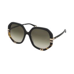 Sunglasses Chloe CH0105S 002