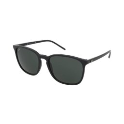 Sunglasses Ray-Ban RB4387 601/71