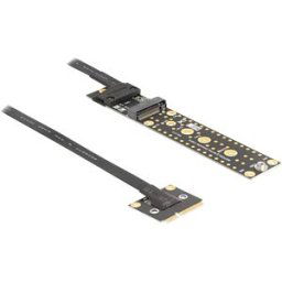 DELOCK 81501 - Adapter Mini PCIe male to M.2 Key M female with cable 20 cm