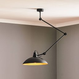 ALDEX Ceiling lamp 808 adjustable 1-bulb black/gold